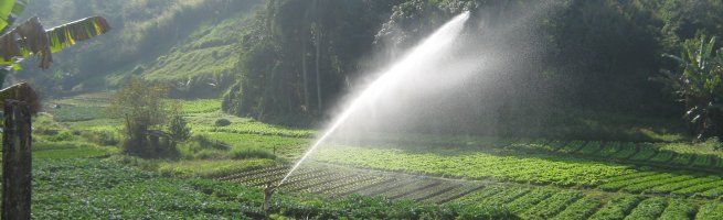 OUTORGA DE USO DE RECURSOS HÍDRICOS